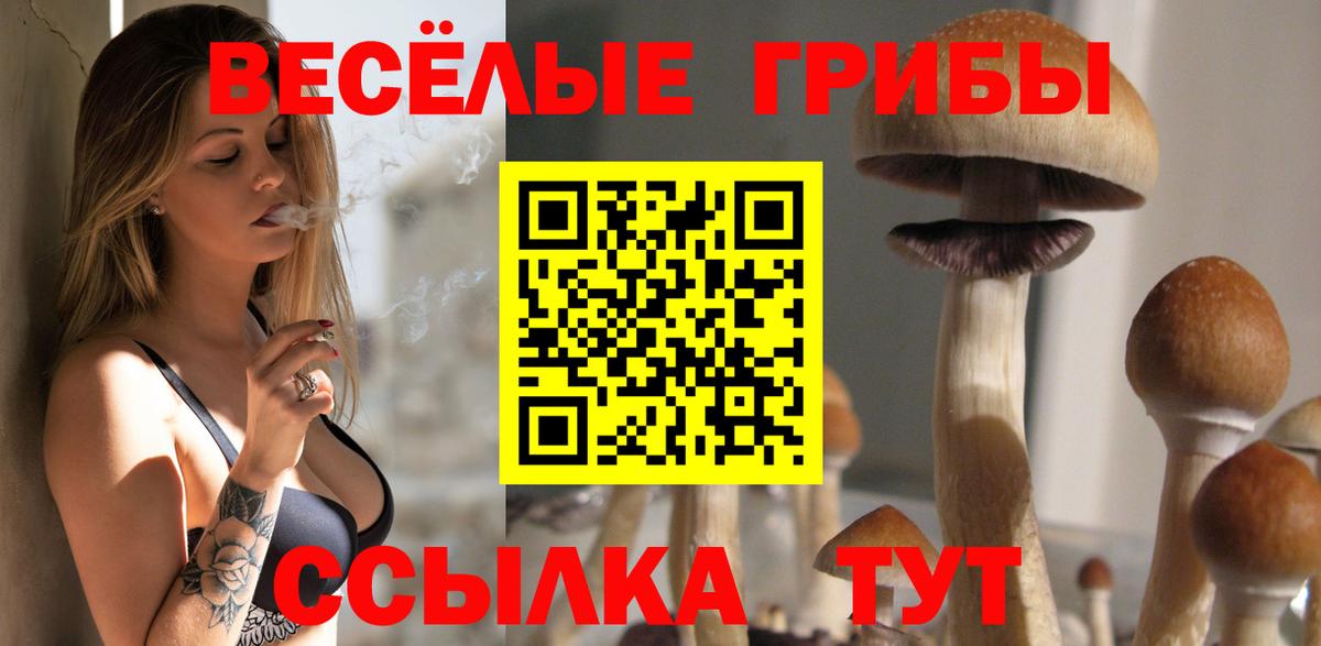 Галлюциногенные грибы Cubensis Майский